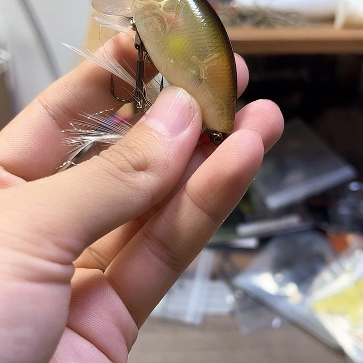 野****KOsp小水面胖子一个