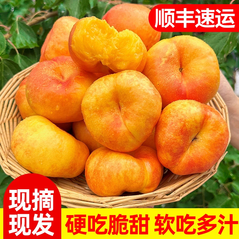 彩虹油蟠桃无毛蟠桃2-4.5斤蒙阴果园直发顺丰