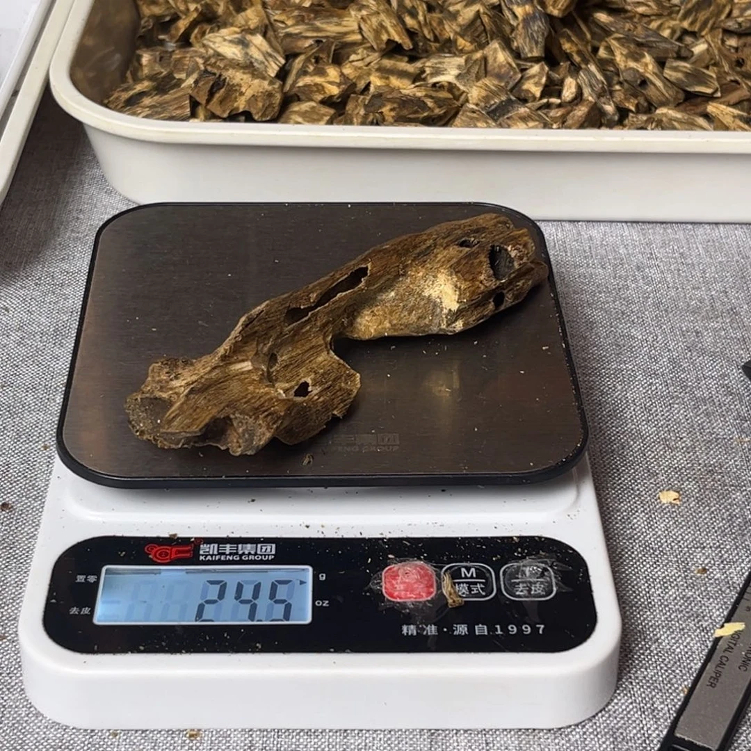 沉香碎屑沉香棋楠虫漏24克