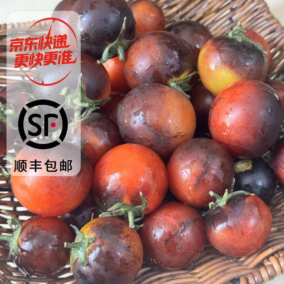 【米阳甜源】山东花青子黑番茄2斤约50-90个/3斤约70-140个