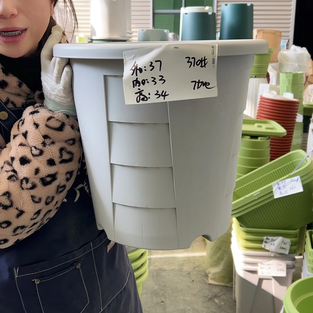 玫瑰盆370#灰白4个无托