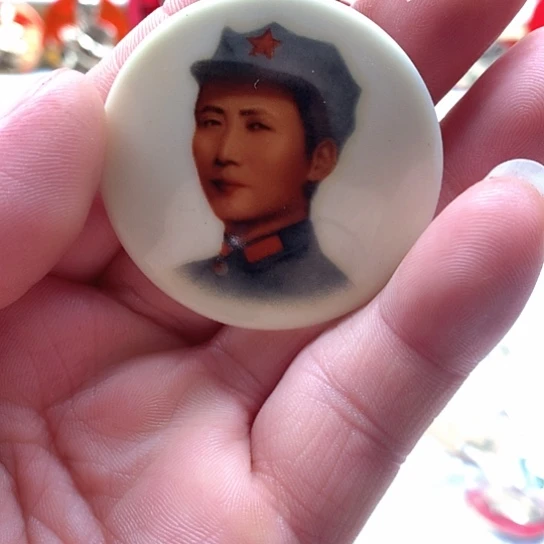 其他普通金属春*红章怀旧81