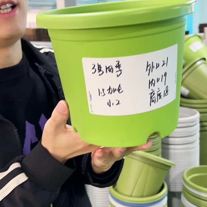 特价3号四季口21高18果绿无托10只