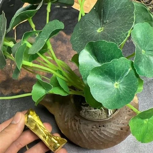 24-精选家居摆件-现代仿古摆件-SG