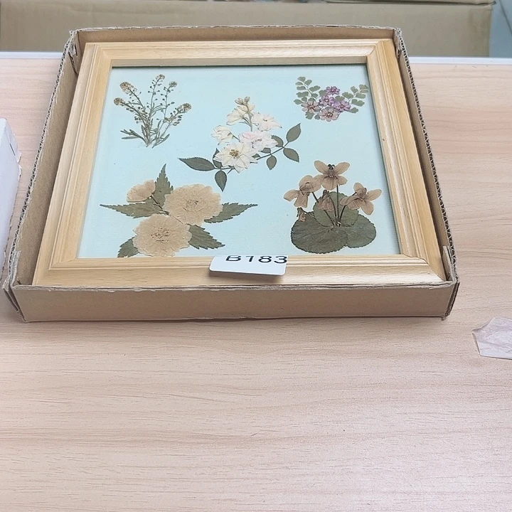 笨***狗瓷片55555555558888885