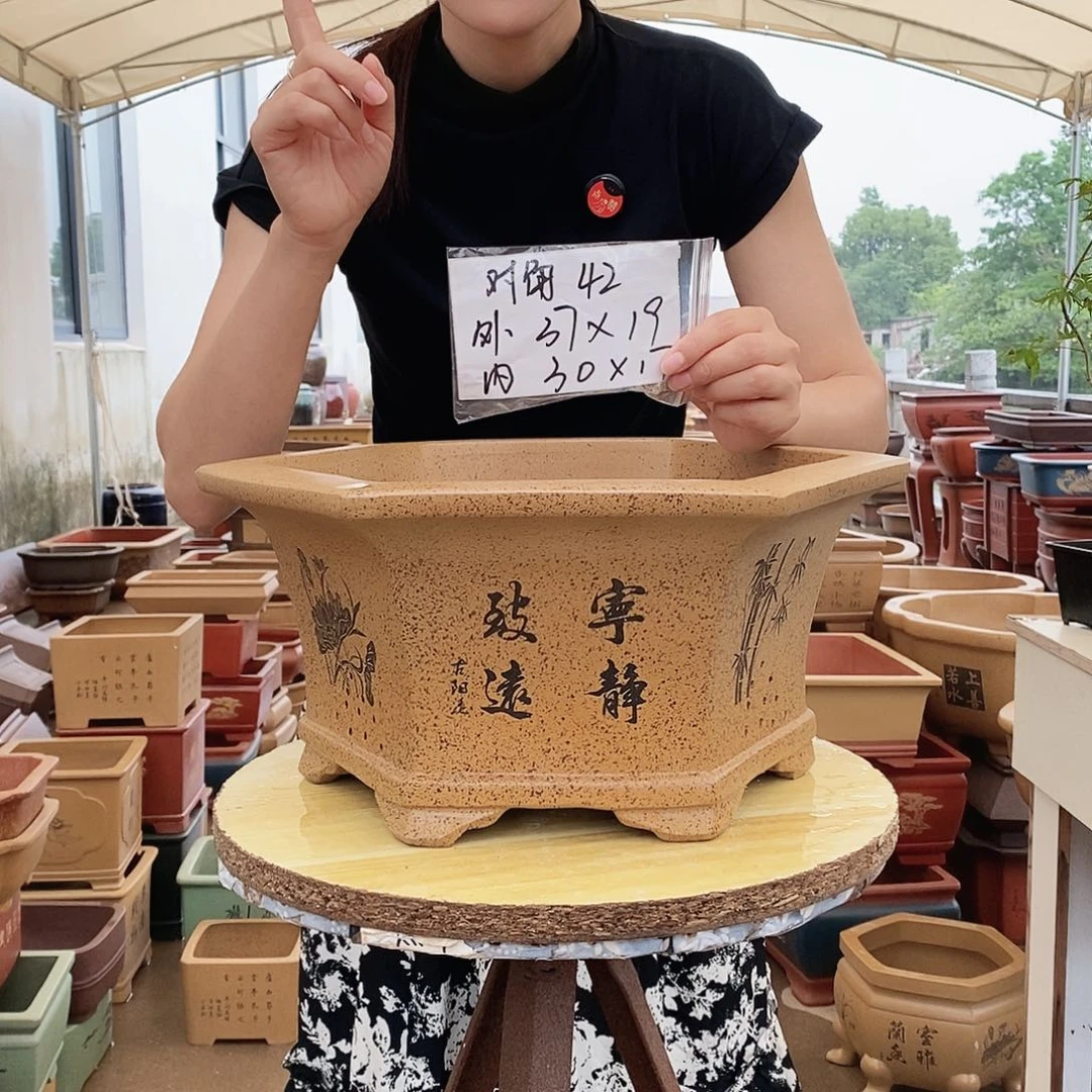 紫砂花盆紫砂花盆