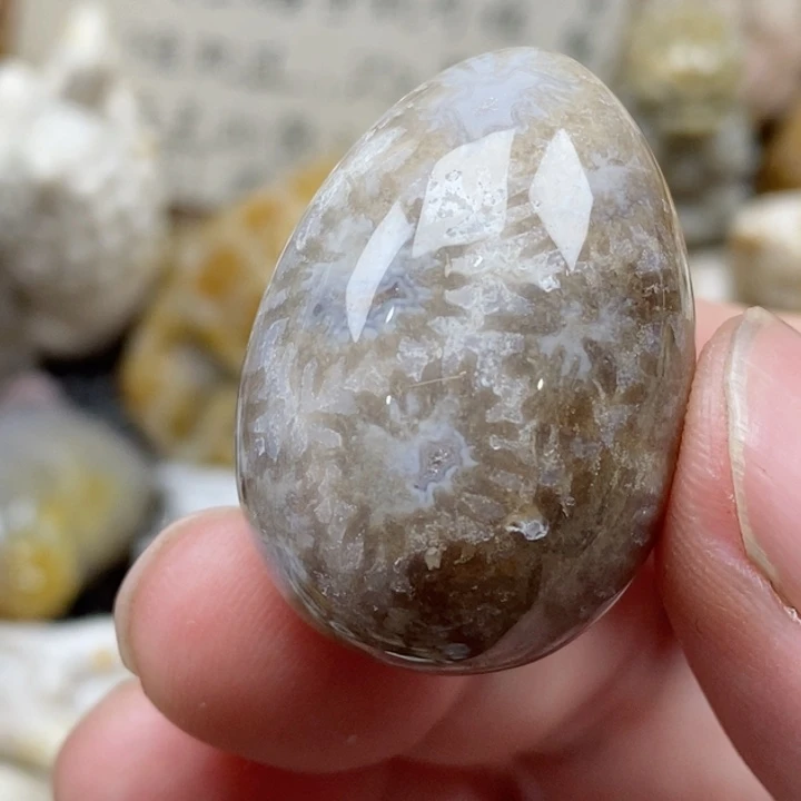 颈饰未镶嵌硅化珊瑚（珊瑚玉）有瑕