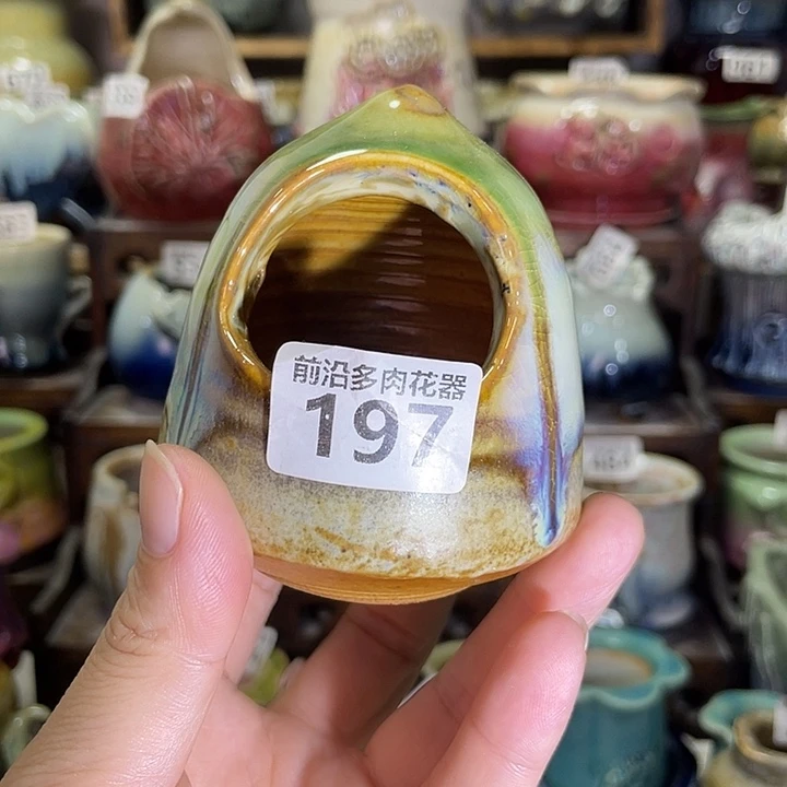 狼盆内口径5高度7