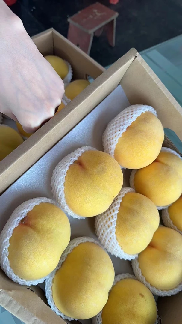 长禾果园镇湖锦绣黄桃大果（12个）