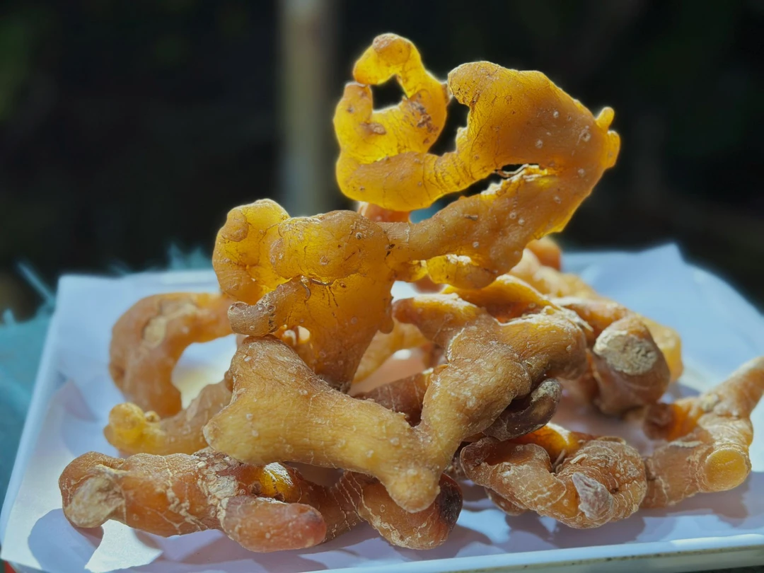 现收土特产 太-阳-参 100-500克 食用农产品