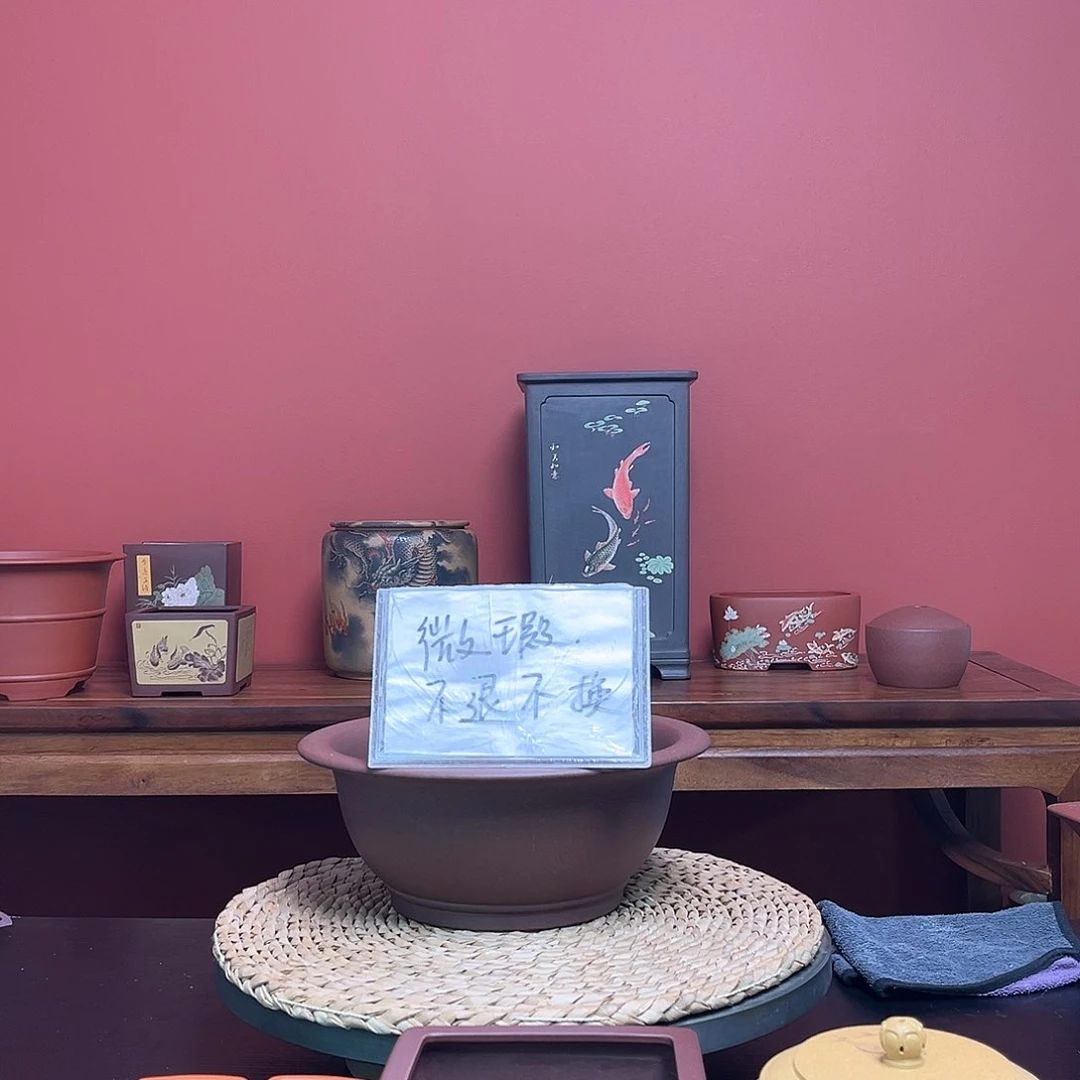 紫砂花盆向****伞微瑕花盆