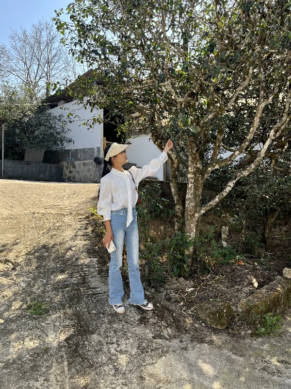 【小清的茶】昔归产区6款样品组合装48克/份