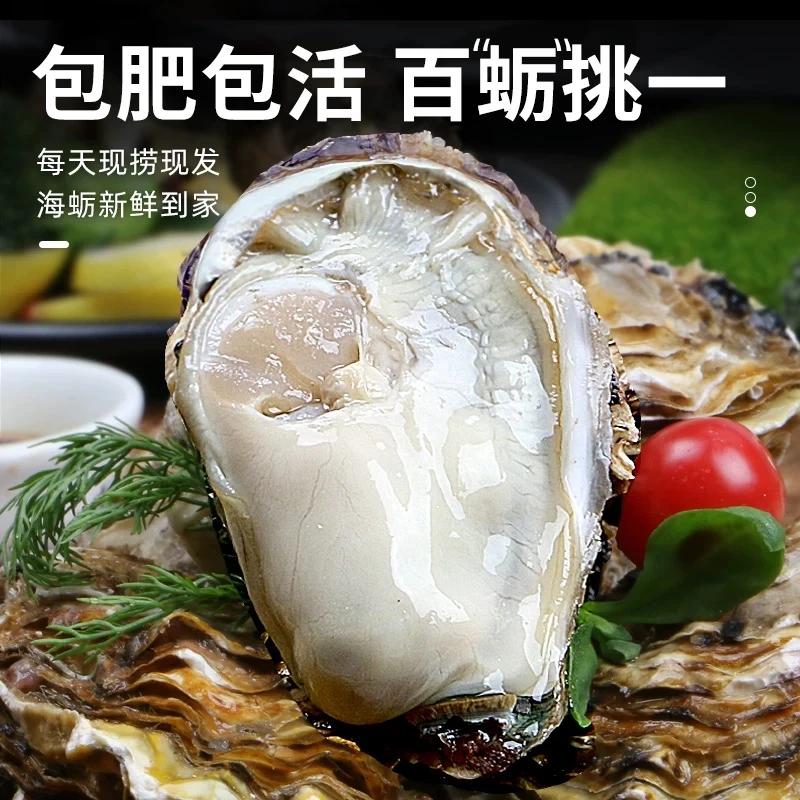 正宗大连生蚝 新鲜捕捞【顺丰冷链陆运】（盒）