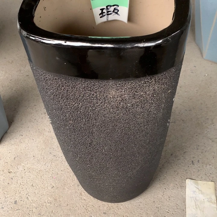 花盆里的小猫咪们都好可爱啊哈哈