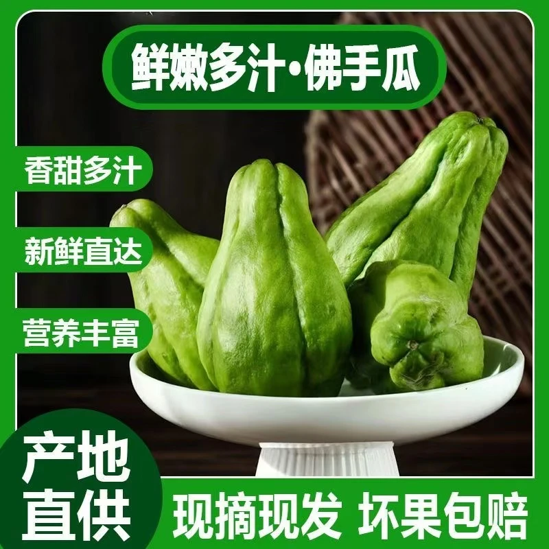 云南高山农家自种佛手瓜洋瓜脆嫩鲜甜新鲜采摘