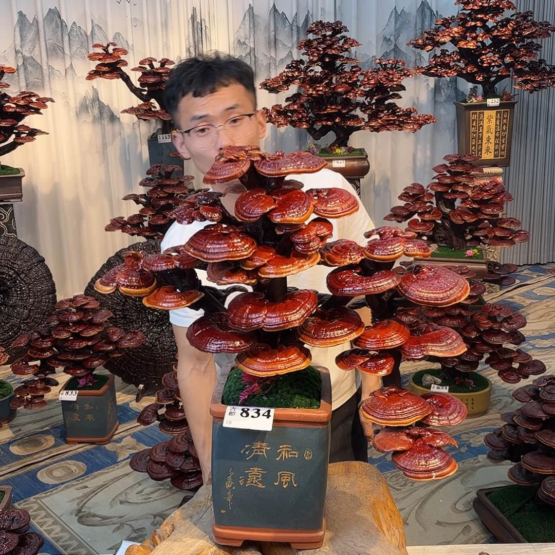 无花朵88888888888