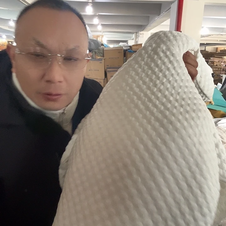 大白鹅质量好好好