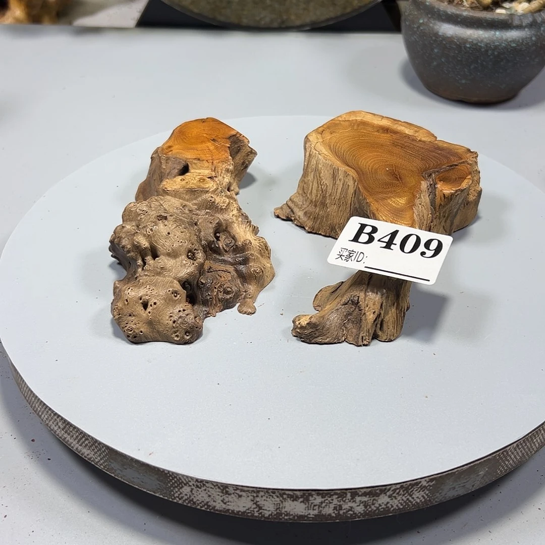 大果紫檀（缅甸花梨）用****2