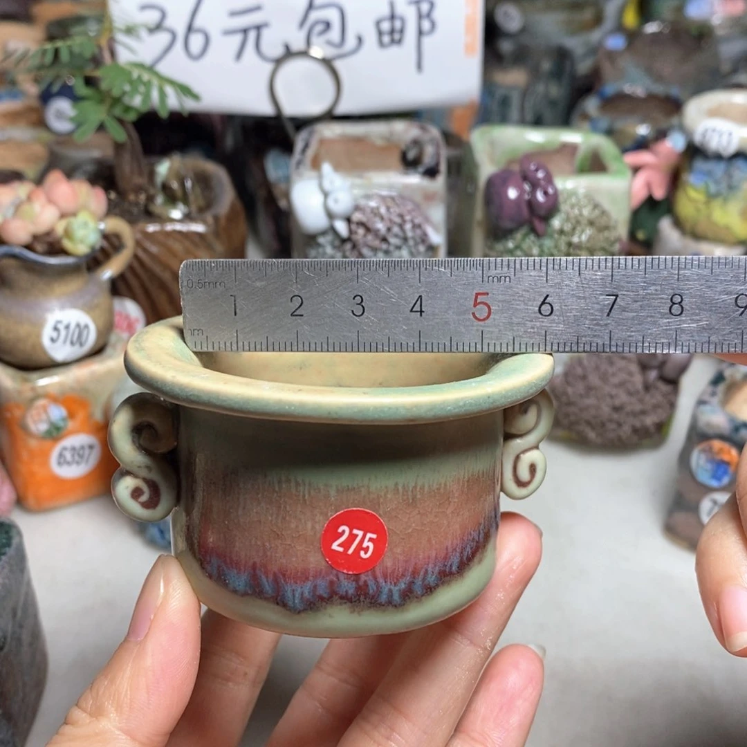 拍5送一个小礼物