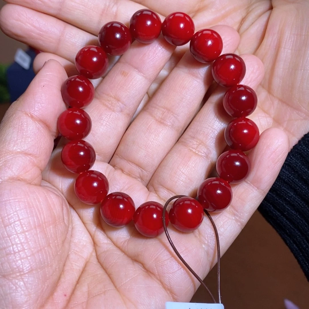 贝壳杉帝王血龙木1.2