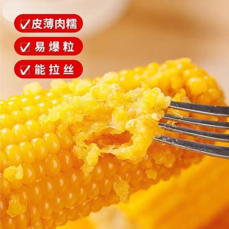 试吃2根 2025年东北新鲜香甜黄糯玉米真空包装8根铝箔袋整箱