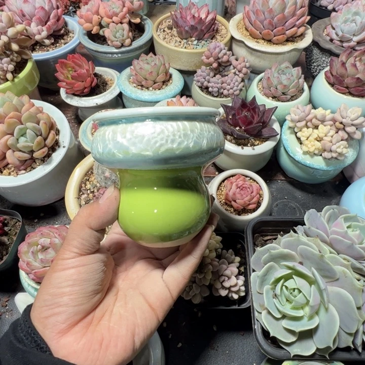 特价花盆 满50发货 内口8