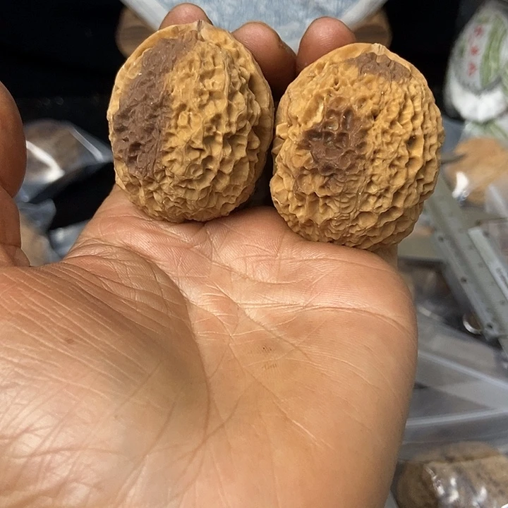 把件文玩核桃云南铁核桃基地32