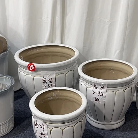 白色金线南瓜盆一套