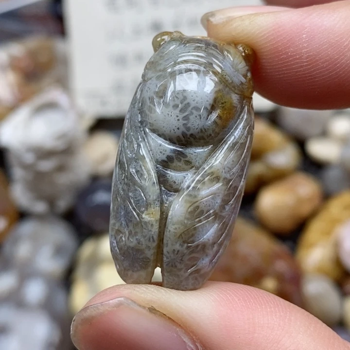 硅化珊瑚（珊瑚玉）未镶嵌颈饰小