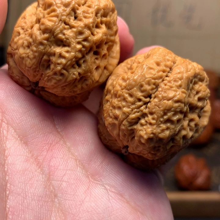 文玩核桃把件40霸王蟾