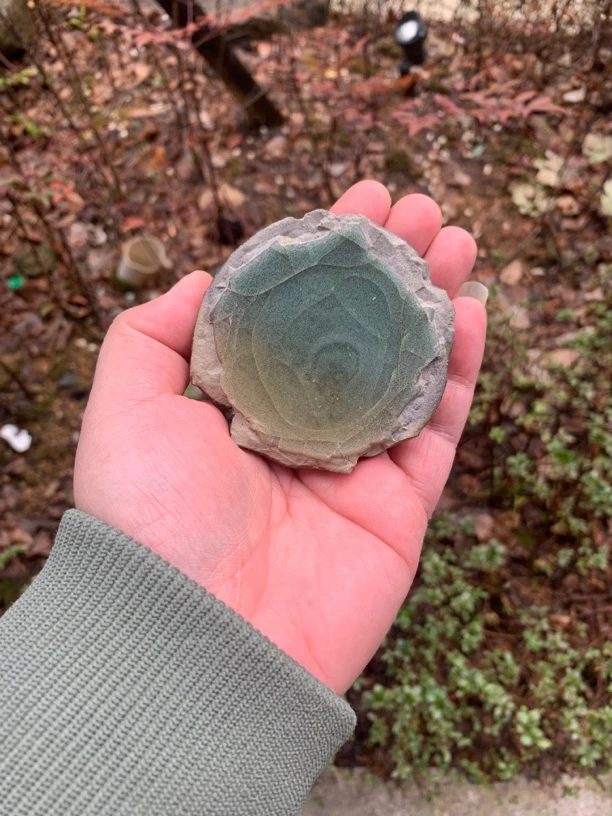 龙泉窑，官窑，整底标本陶瓷