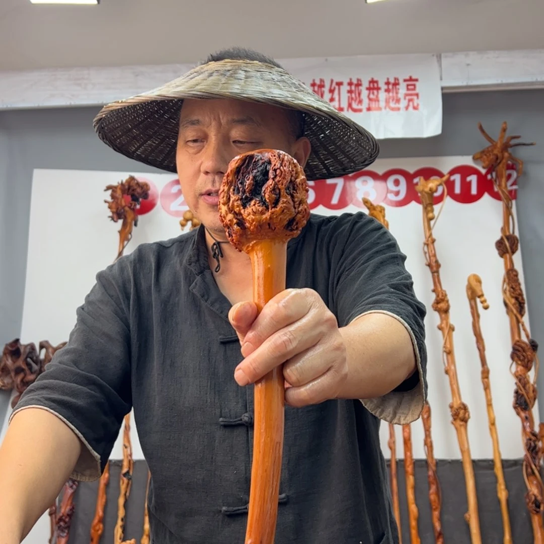 黑果木其他黑果木972