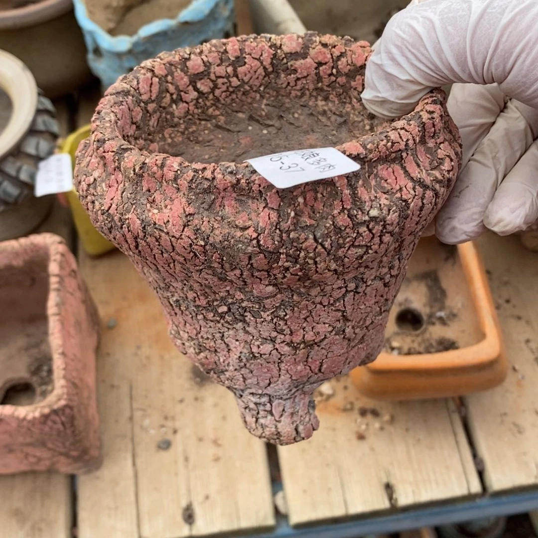 红陶A***n37号多肉盆一个呀