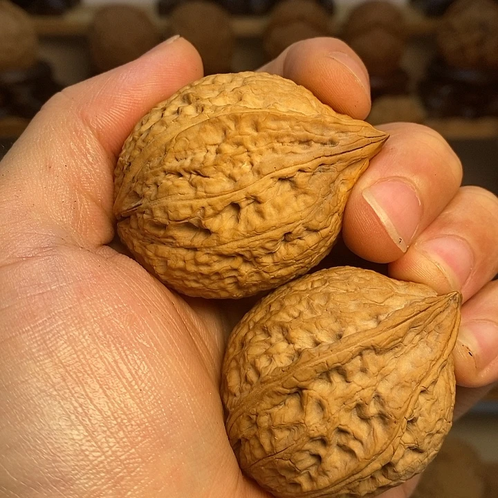 文玩核桃吊坠生命40