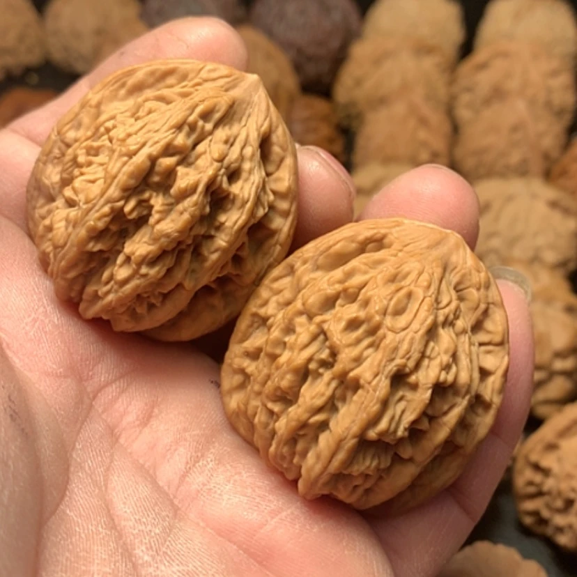【闪购商品】麦穗虎头