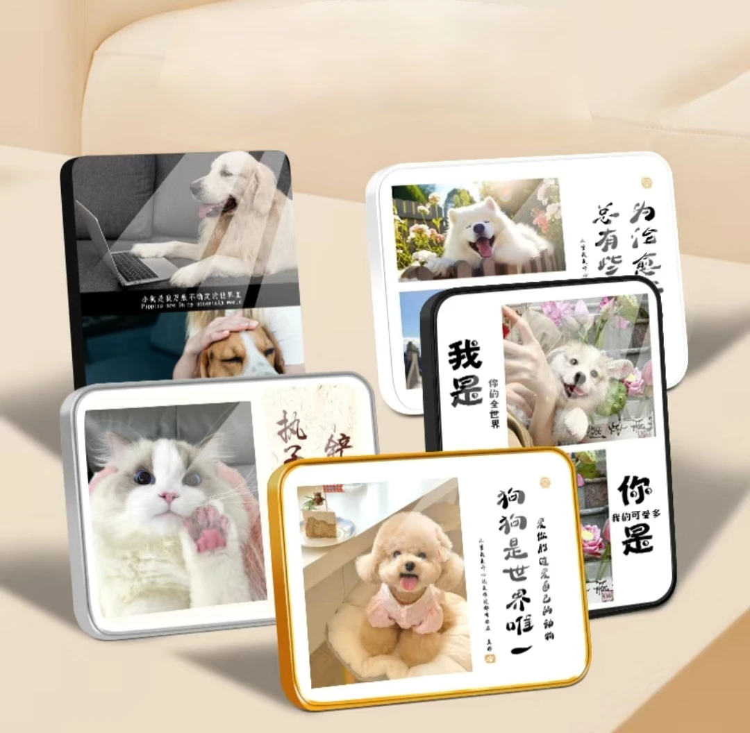 【阿拉斯加】宠物狗狗相册阿拉斯加纪念相册定制