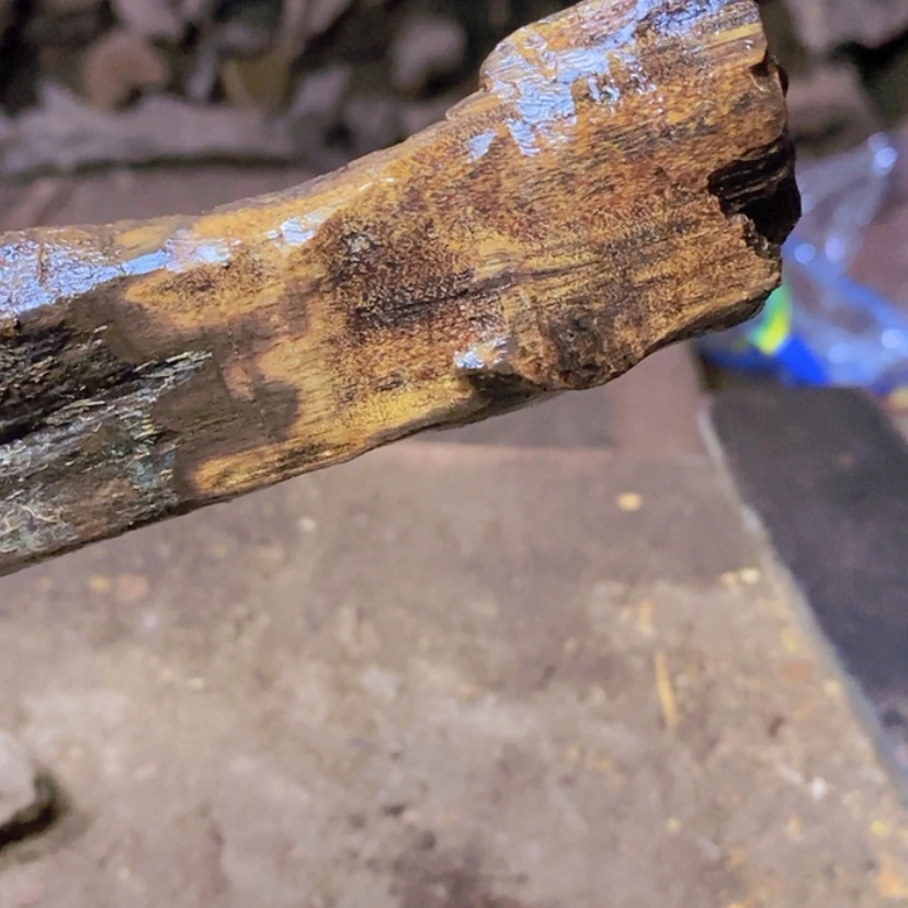 【闪购商品】贡木其他大**利定制新款