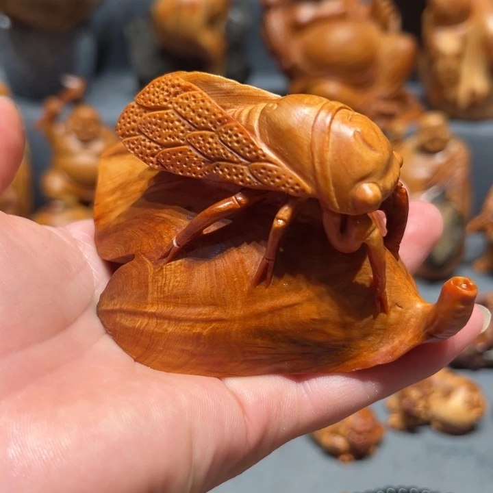 柏木（崖柏）点点关注，感谢