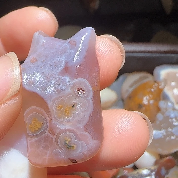 戈壁石懒**鞋阿拉善奇石