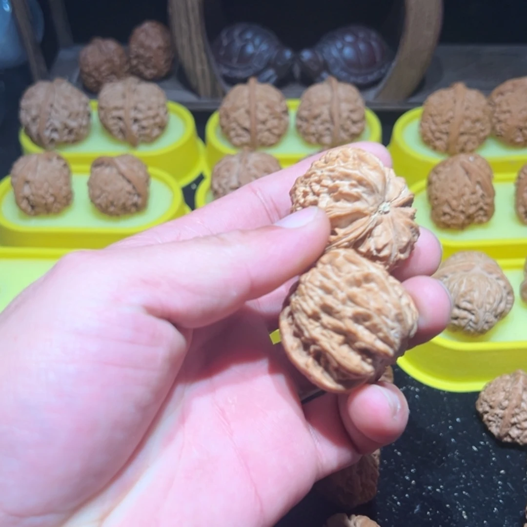 全品白狮子一对40尺