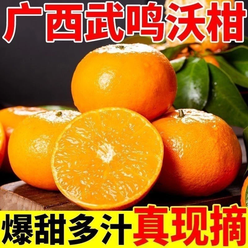 广西武鸣沃柑新鲜柑橘桔子应季孕妇水果皮薄多汁现摘现发香甜