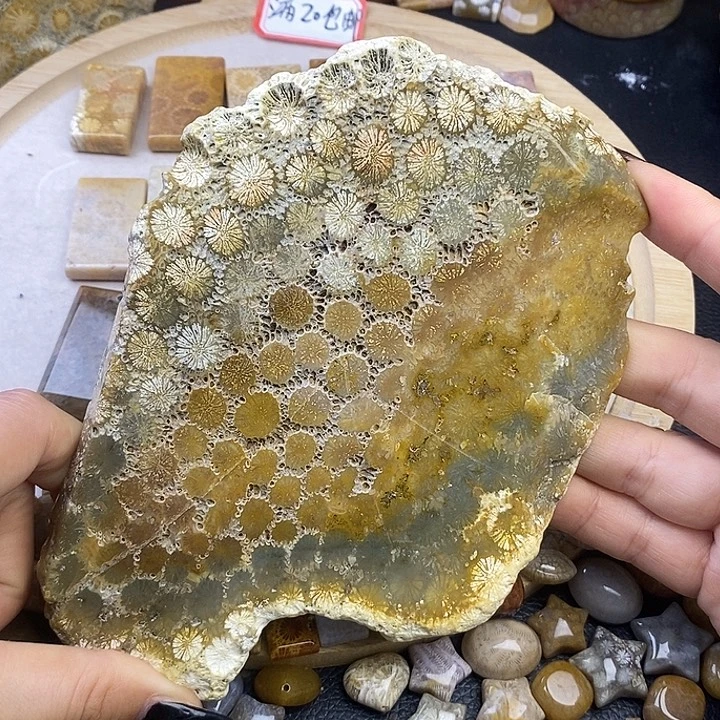 硅化玉未镶嵌颈饰