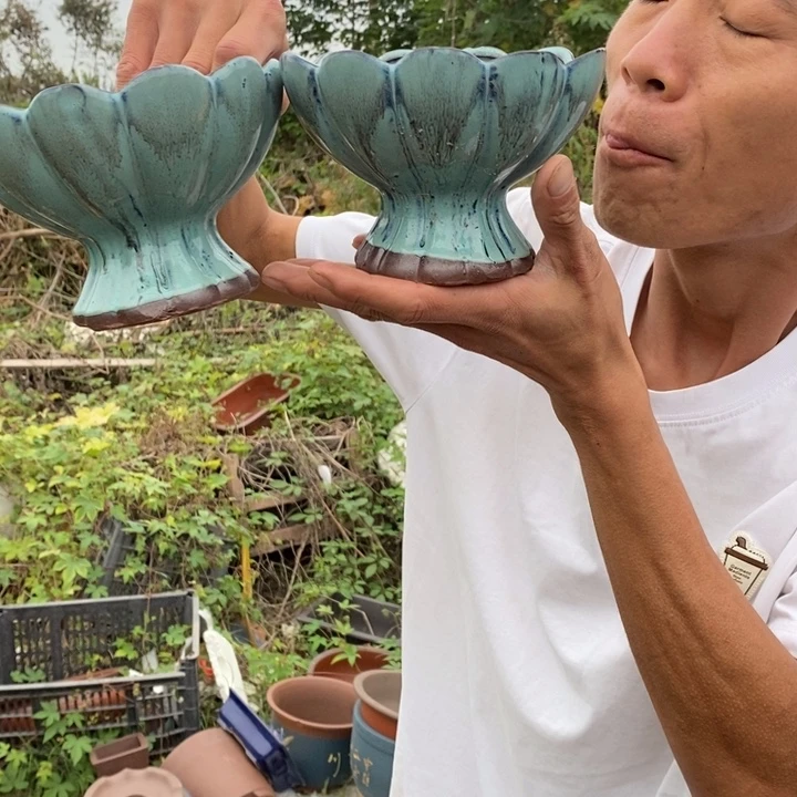 紫砂花盆没有人会觉得自己是