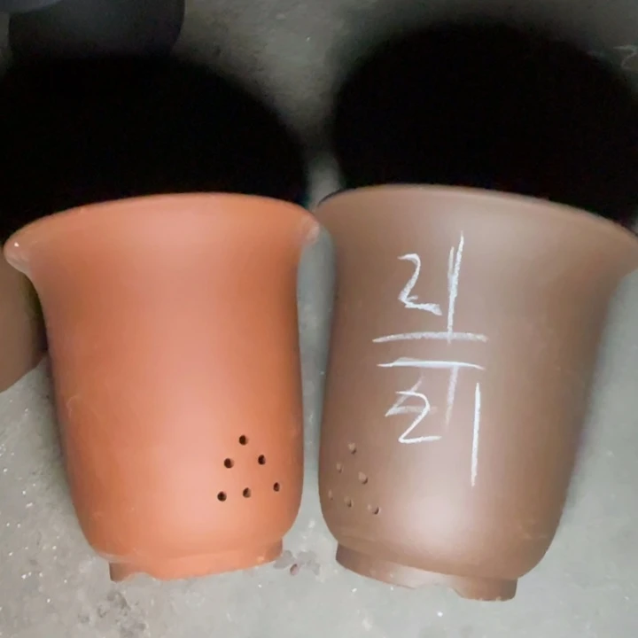 周深周深周深周深周深