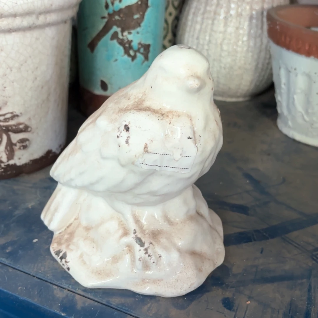 许纯的花房 白色鸟