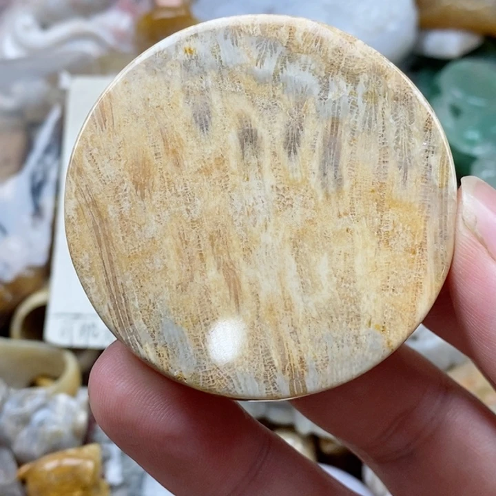 硅化珊瑚（珊瑚玉）未镶嵌颈饰黄*