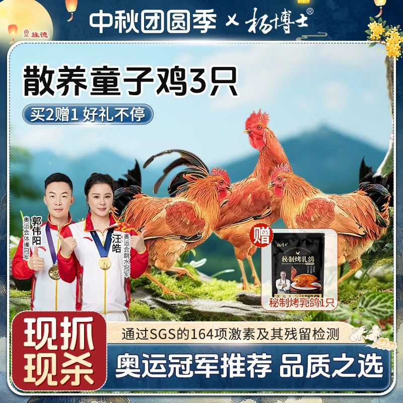 【Ci姐专属】【食安放心童子鸡送烤乳鸽】杨博士散养土鸡低脂高蛋白
