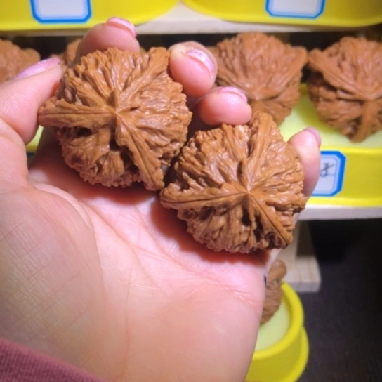 我***️核桃手串/手链白狮子