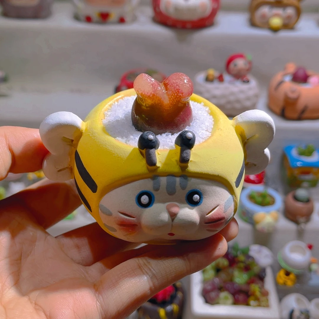 018高端多肉带盆土一套38