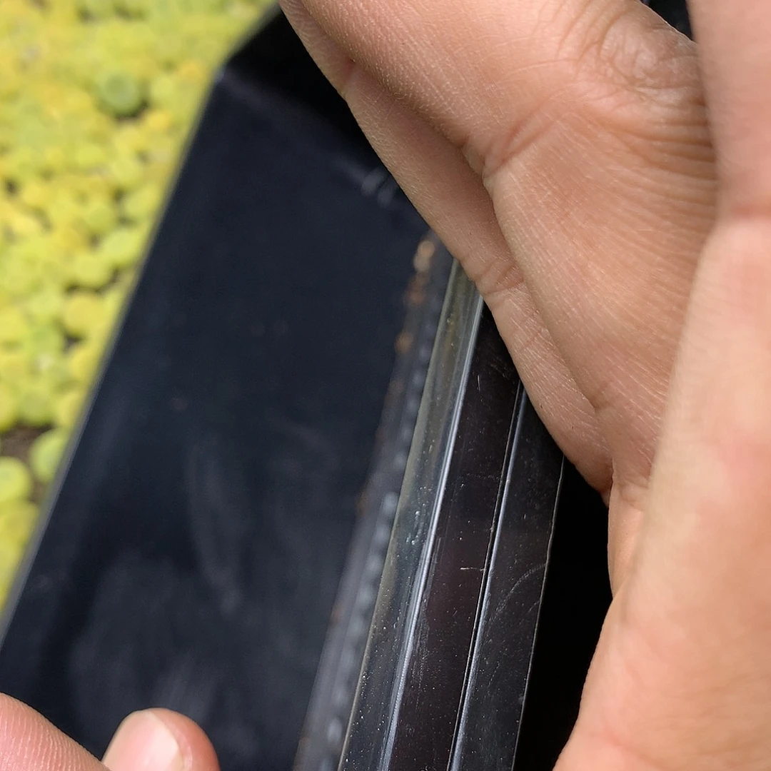 黑框五个多肉植物